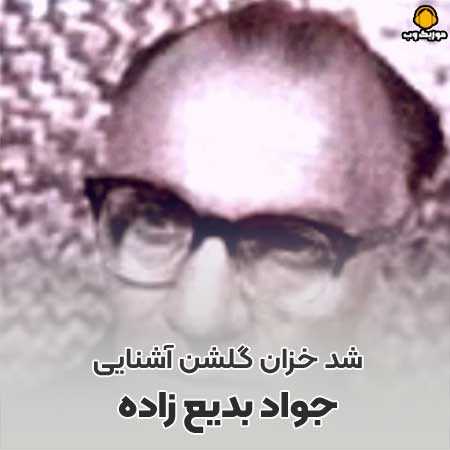 برو اى از مهر و وفا عارى برو اى عارى ز وفادارى