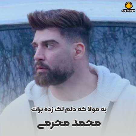 محمد محرمی به مولا که دلم لک زده برات