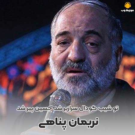 نریمان پناهی تو شیب گودال سرازیر شد حسین پیر شد